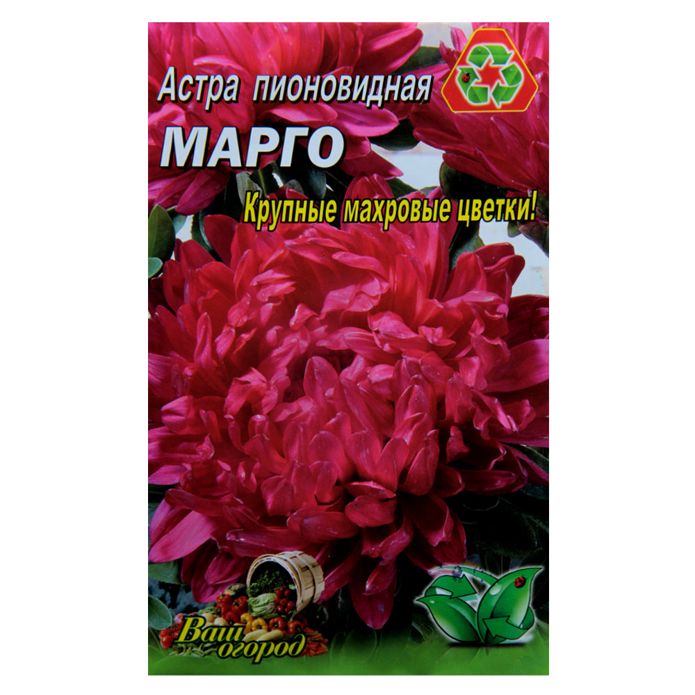 

Астра Марго красная пионовидная семена цветы большой пакет, Красный