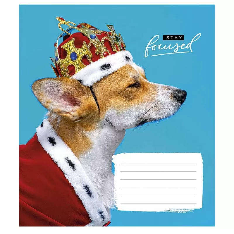 

Тетрадь школьная в клеточку 18 листов Star, Stay focused