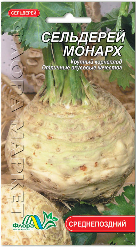 

Сельдерей Монарх