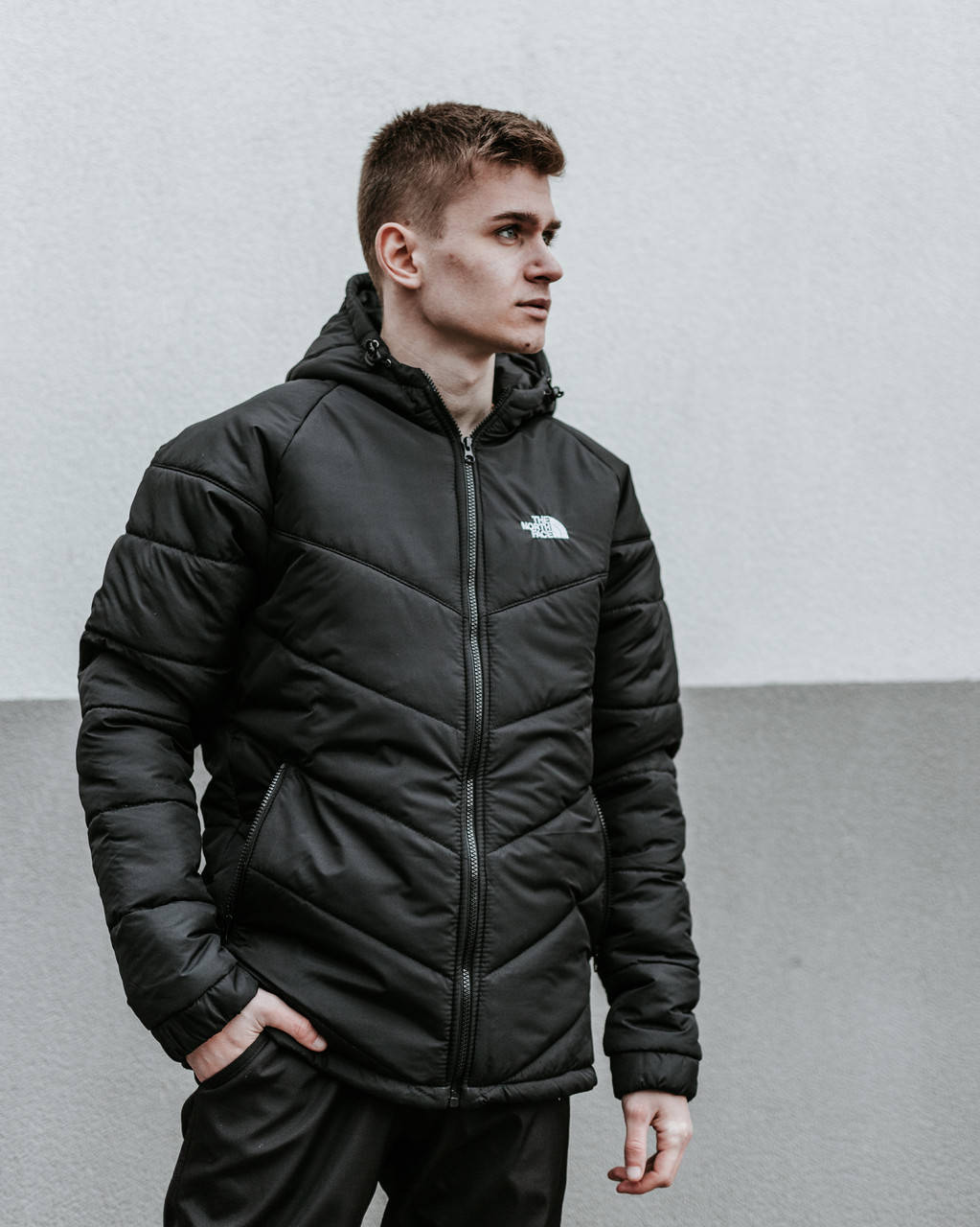 Куртка мужская весенняя / осенняя The North Face черная утепленная ТНФ TNF Демисезонная теплая ветровка