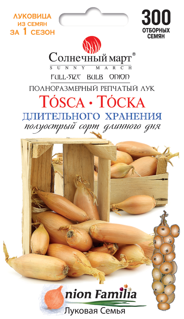 

Лук Тоска, 300шт.
