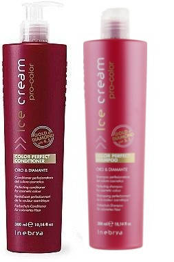 

Набор для окрашенных волос Inebrya Pro-Color Color Perfect Kit 300/300 мл.