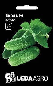 

Огурец Еколь F1
