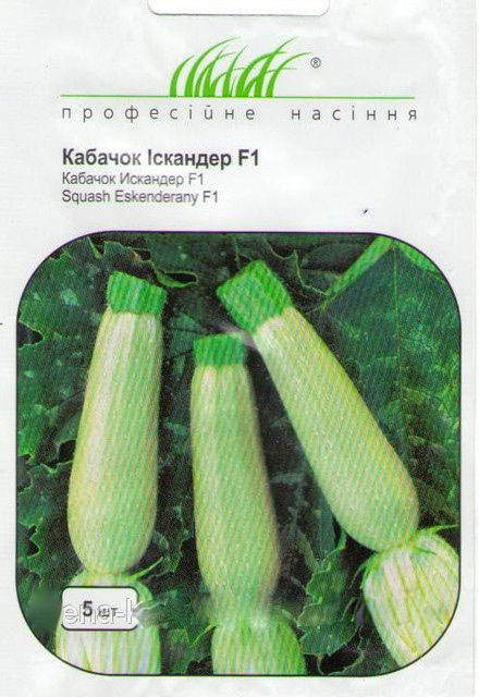 

Семена Кабачок Искандер F1, 5 семян Seminis