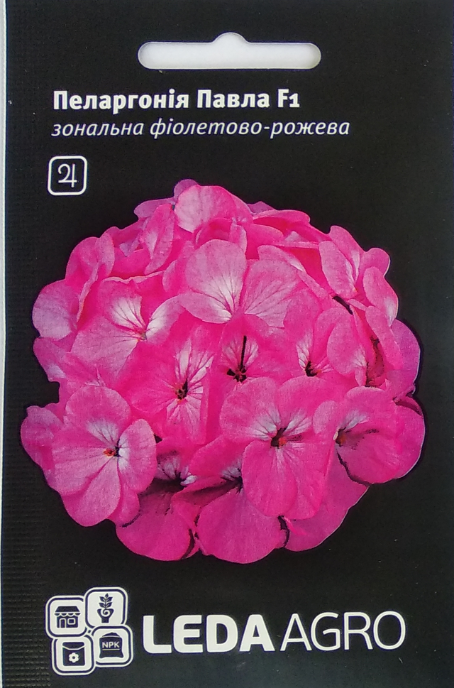

Семена Пеларгония Павла F1 фиолетово-розовая смесь 5шт LEDAAGRO