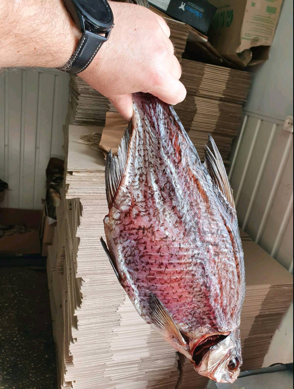 

Лещ вяленный с икрой