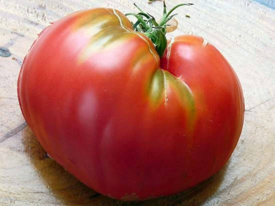 

Томат Говяжье сердце