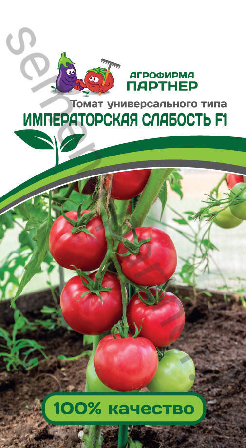 

Семена Томат детерминантный Императорская Слабость F1, 0,1 грамма Партнер