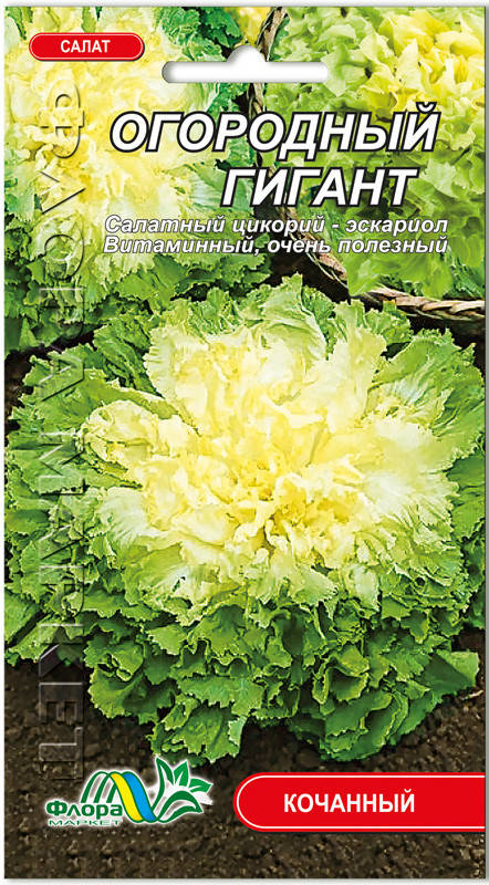 

Салат Огородный гигант