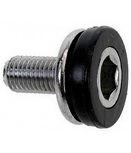 

Болт в каретку BAS15 M8*P1*15L Allen Chromoly, 2Pcs SUN RACE