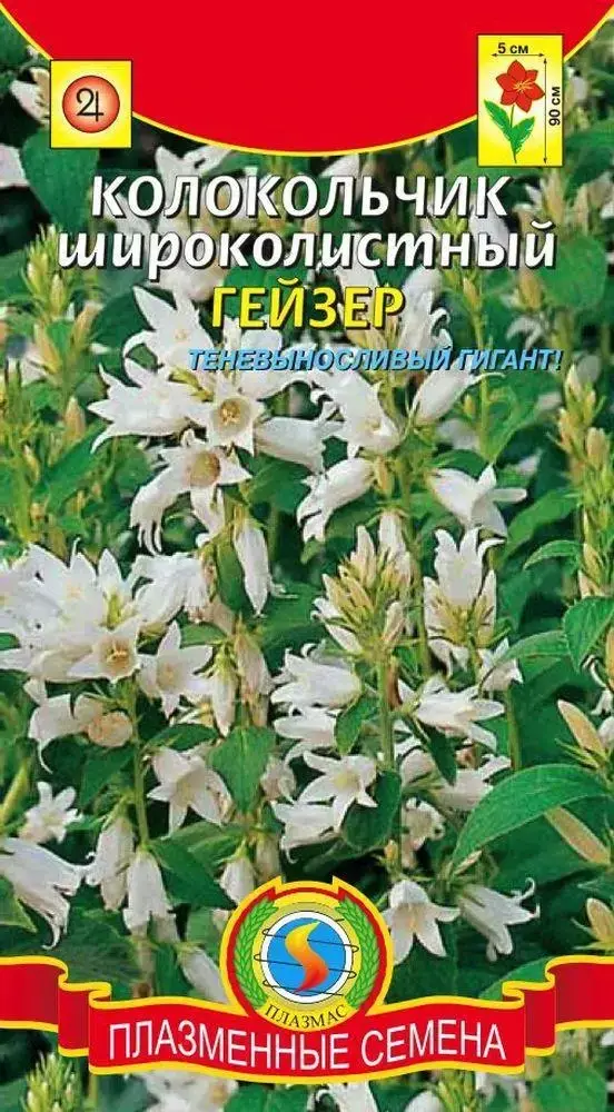 

Колокольчик широколистный Гейзер 0,05г, Белый