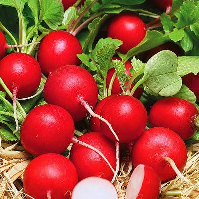 

Редис Сора 3 г