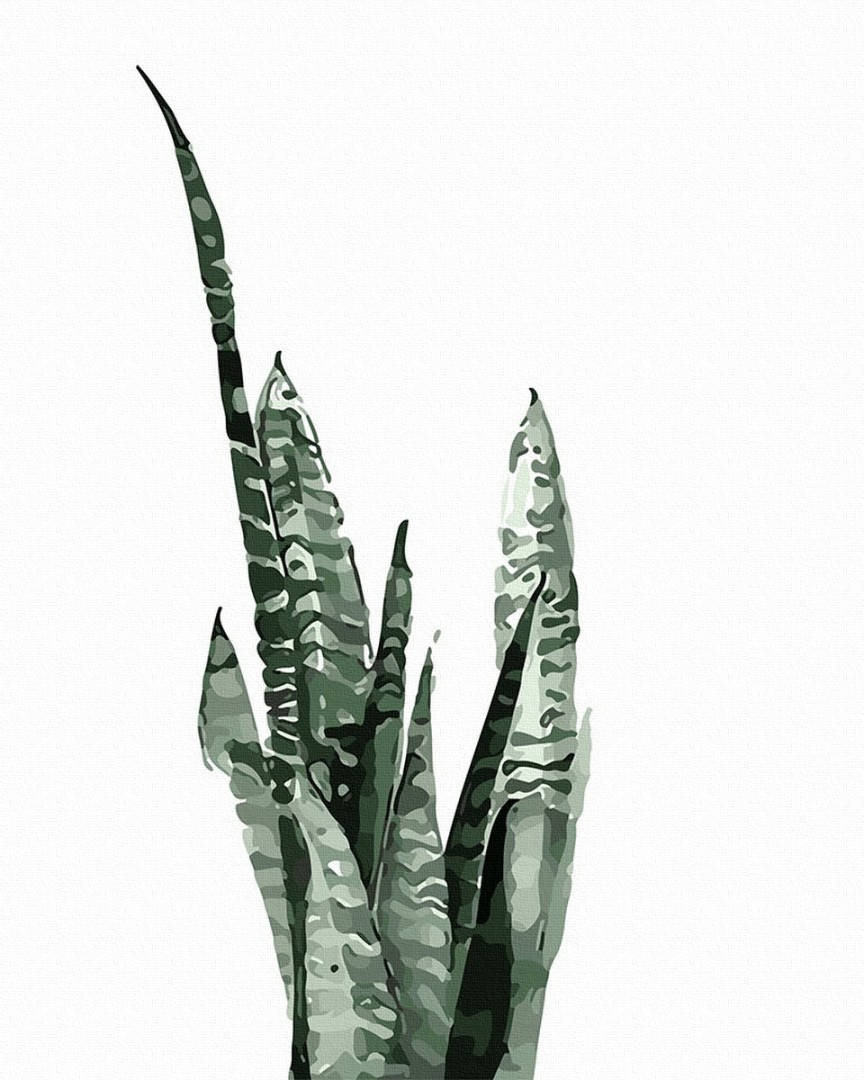 

Картина по номерам Brushme Сансевиерия акварелью OGT61071 40x50 см