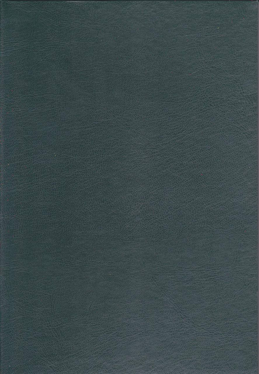 

Канцелярская книга А4 200 л. тв. переплёт Бумвинил зелёная