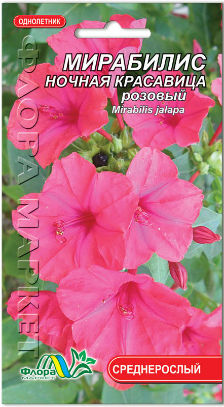 

Семена цветов Мирабилис ночная красавица розовый Флора маркет