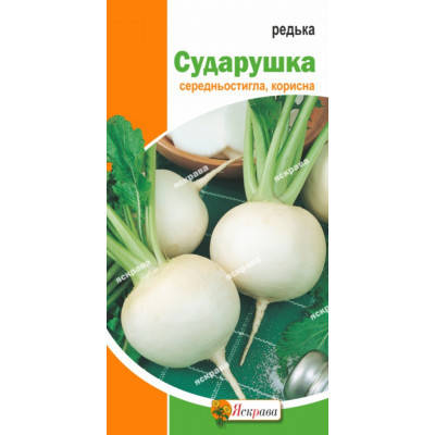 

Редька белая Сударушка