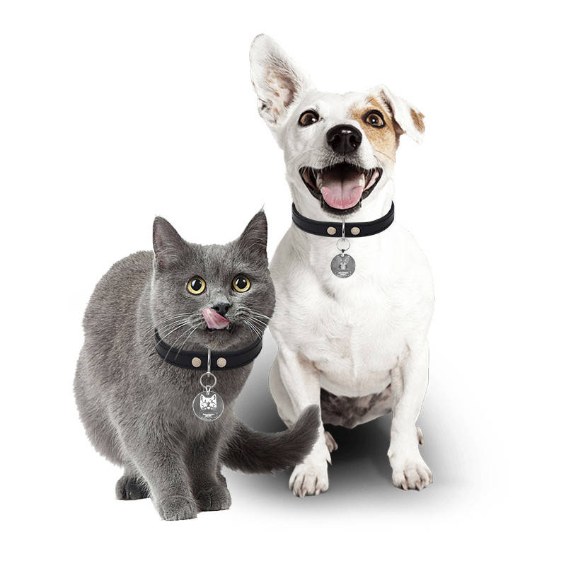 

Медальон-адресник на ошейник для домашних животных Manulife Круг Silver 3,5