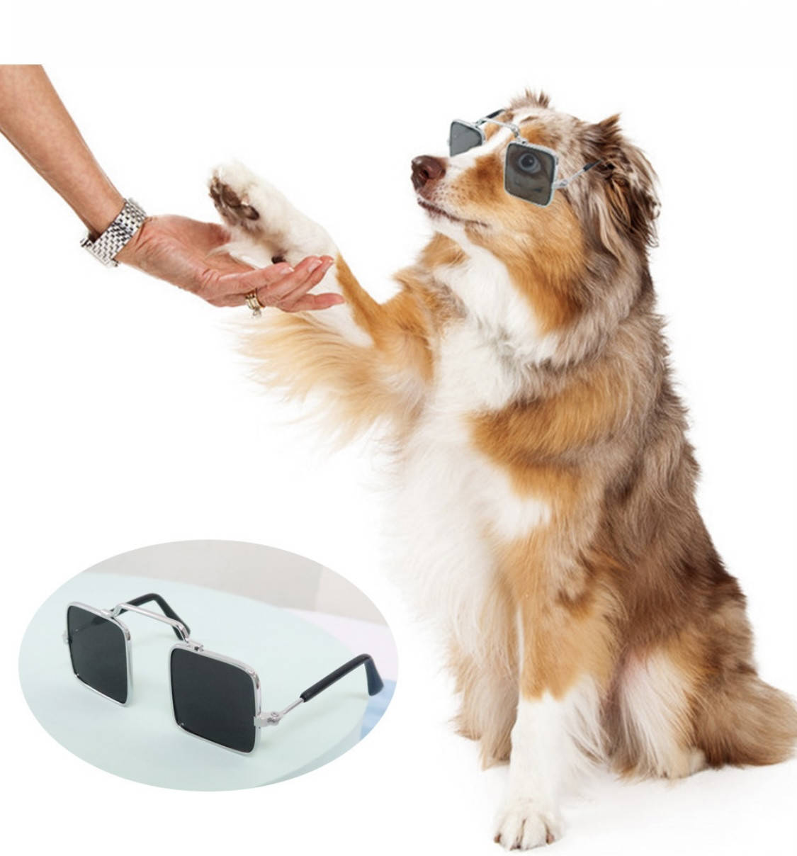 

Очки солнцезащитные для собак и кошек "Boxy" Black (-)