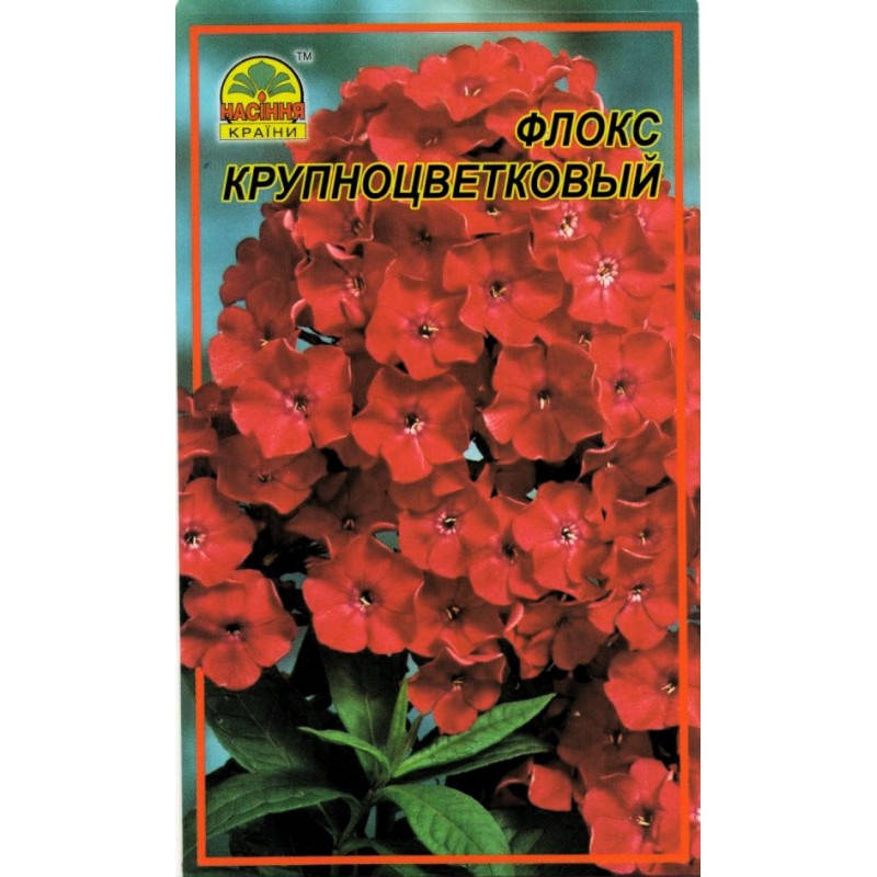 

Семена Флокс крупноцветковый 30 шт. (Насіння країни)