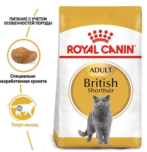 

Royal Canin British shorthair 2кг- для взрослых кошек породы британская короткошерстная