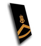 

Погоны-муфта парадные Главный корабельный старшина, Синий