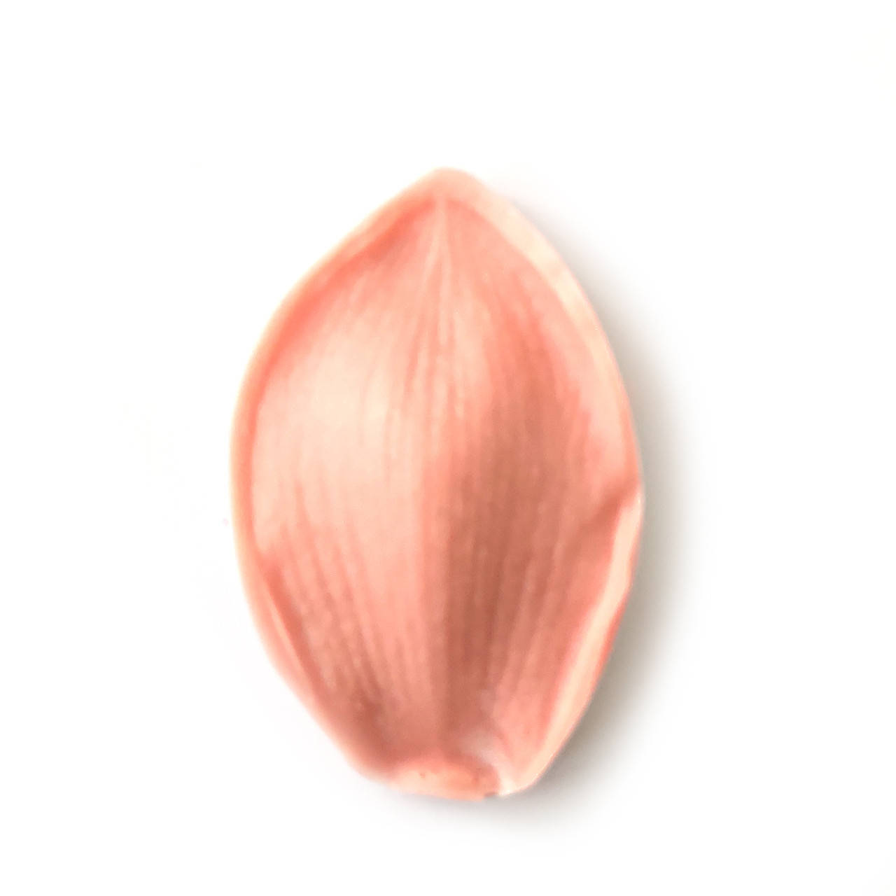 

Молд лепесток орхидеи Цимбидиум пластиковый для фоамирана и глины флористический, широкий