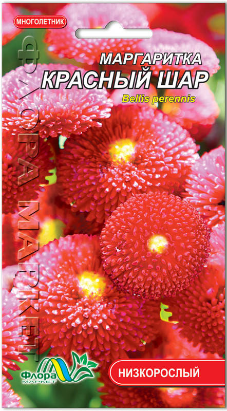 

Семена цветов Маргаритка Красный шар Флора маркет