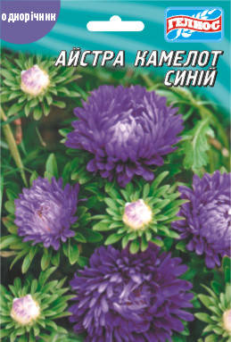 

Астра Камелот синий 100 шт.
