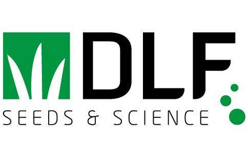 

Газонная трава DLF Trifolium M1 1 кг на вес из мешка