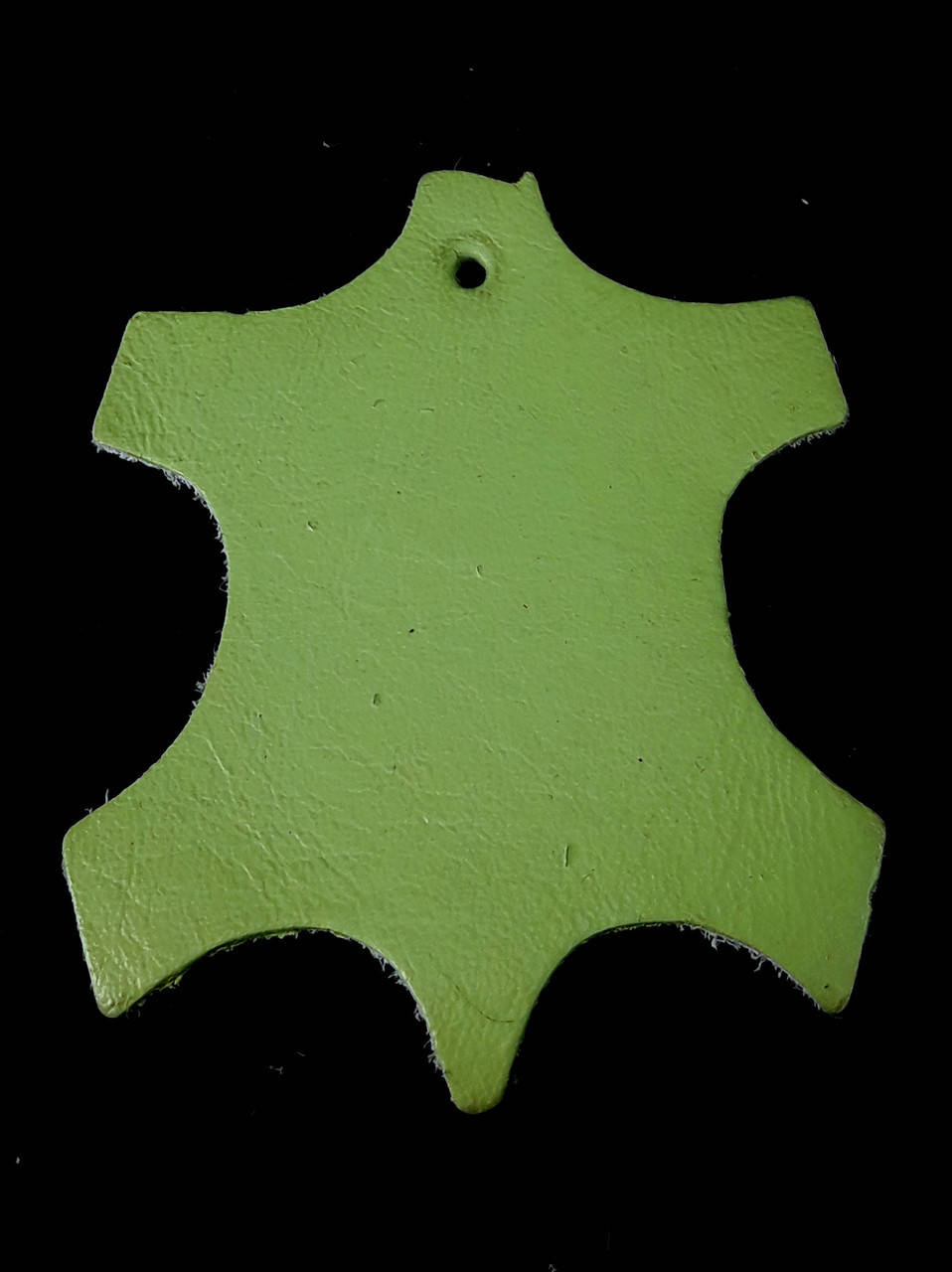 

Краска для кожи Felice Салатовый 100 мл F014