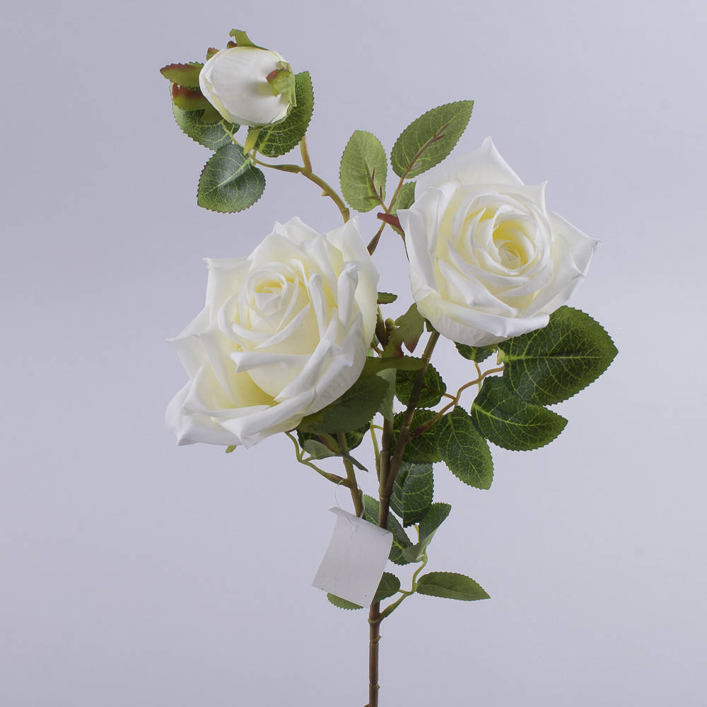 

Роза премиум тройная молочная