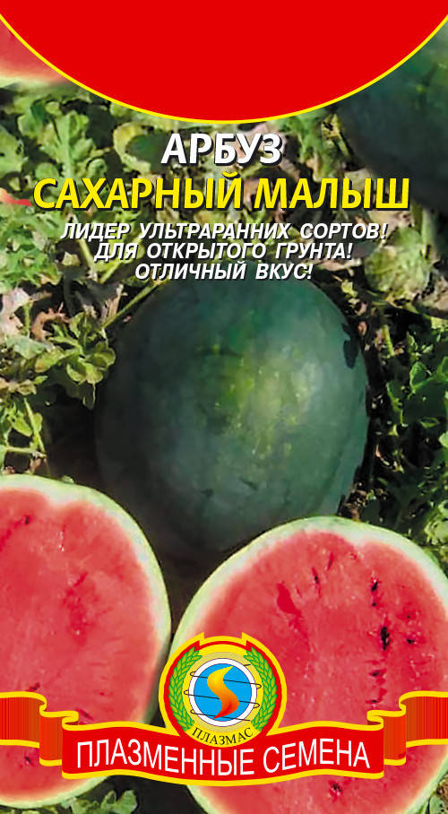 

Арбуз Сахарный малыш 1 г (Плазменные семена)