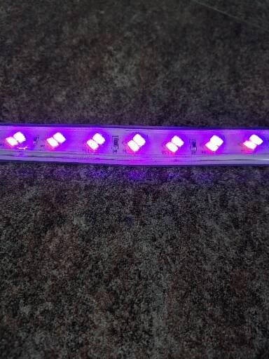 

Светодиодная лента сине-красная 220 V "SunLight"