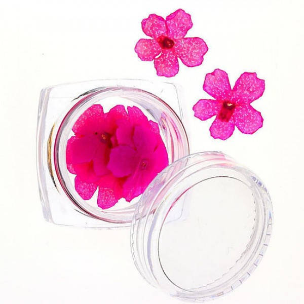 

Сухоцветы №64, Розовый