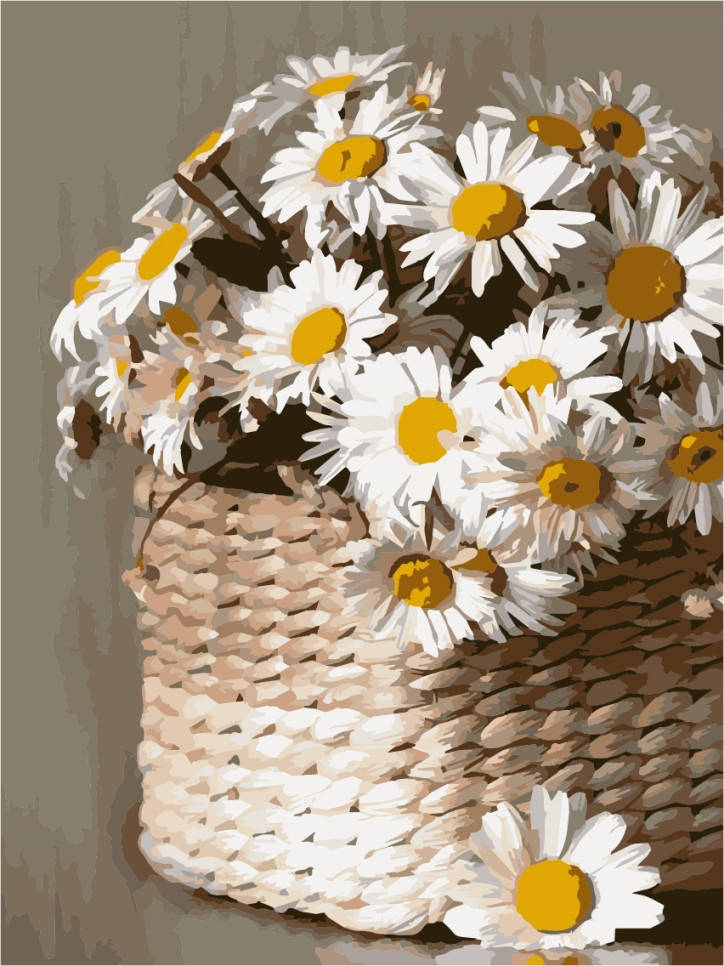 

Картины по номерам ArtStory Ромашки (AS1067) 30 х 40 см (Без коробки)