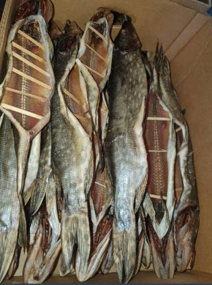 

Щука вяленая потрошоная