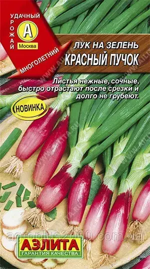 

Семена Лук на зелень Красный Пучок 0,3 грамма Аэлита