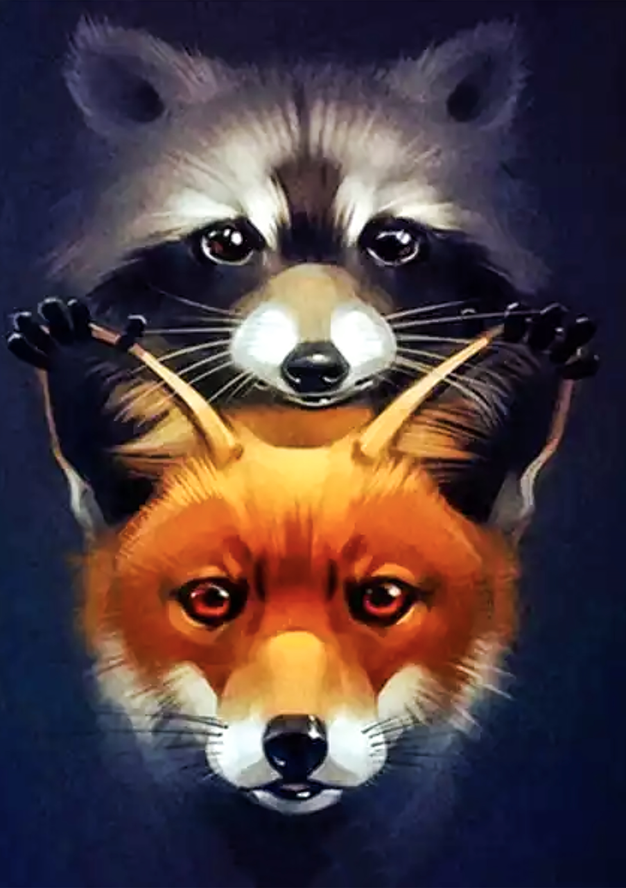 

Алмазная мозайка. Набор алмазной вышивки "Енот и лиса". Размер 30*40 см.