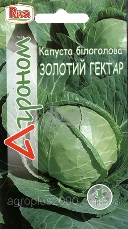 

Семена Капуста белокочанная ранняя Золотой гектар 1 грамм Агроном