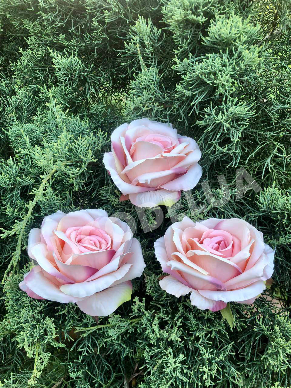 

Троянда люкс рожево-персикова (10*6 см) тканинна. Троянда для декору