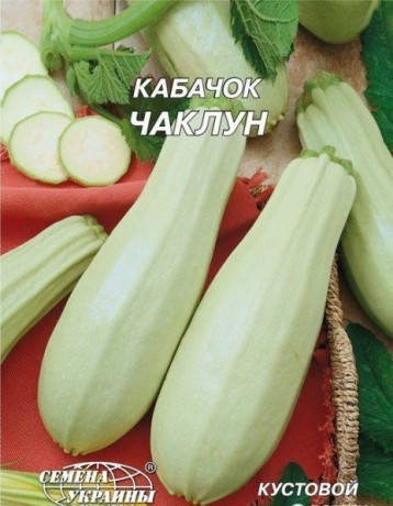 

Кабачок Ясна F1 5 нас СЦ