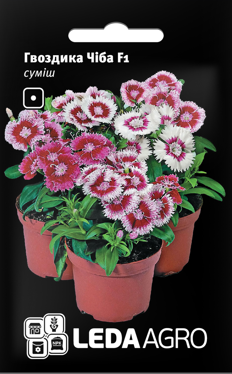 

Семена Гвоздика китайская Чиба F1 10шт LEDAAGRO