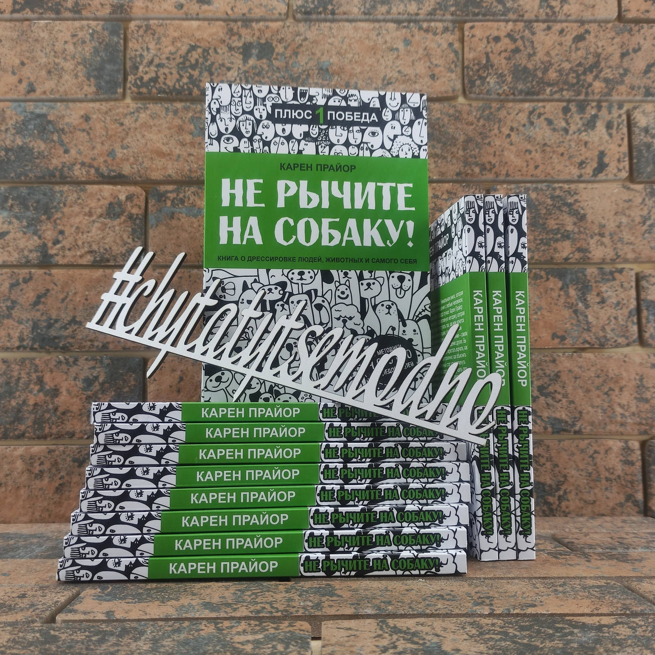 

Не рычите на собаку! Книга о дрессировке людей, животных и самого себя Карен Прайор