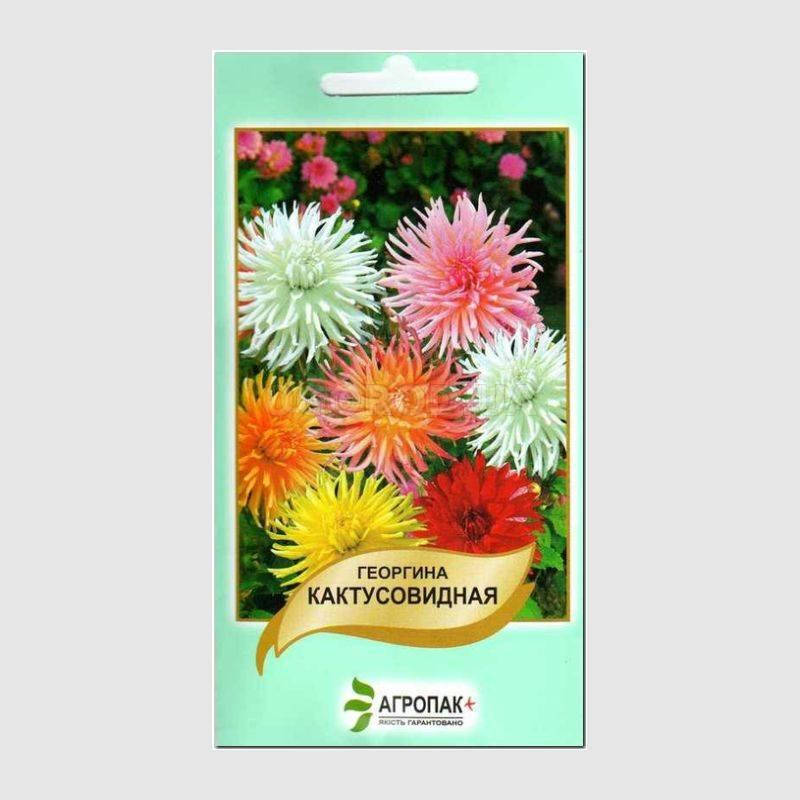 

Семена Георгина Кактусовидная Смесь 20 семян Legutko Агропак, Разные цвета