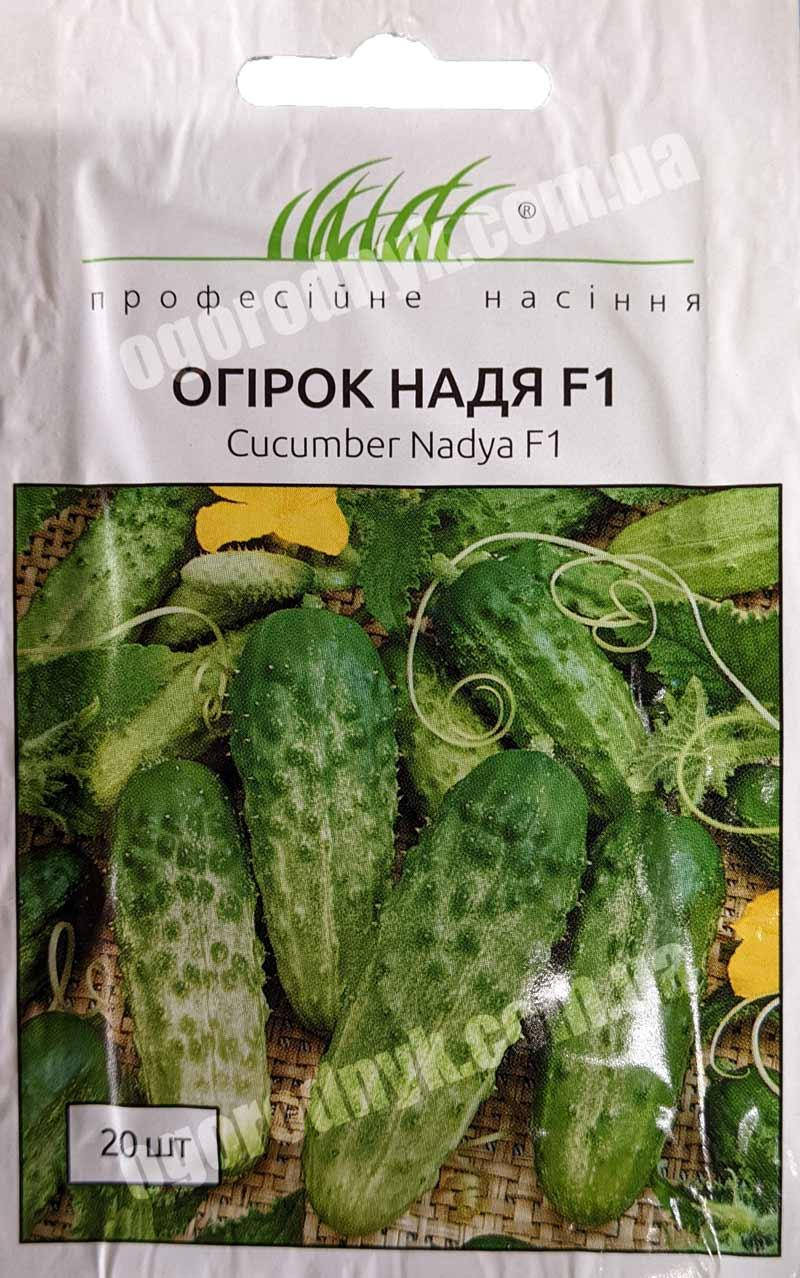 

Насіння огірків Надя F1 20 шт. Професійне насіння (Нідерланди)