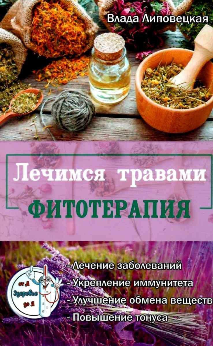 

Лечимся травами. Липовецкая