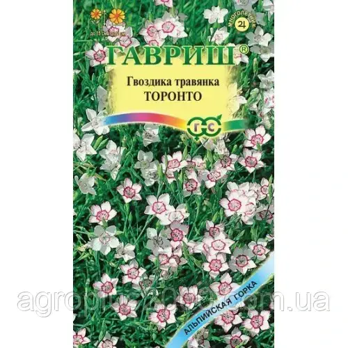 

Семена Гвоздика травянка Торонто 0,1 грамма Гавриш, Белый