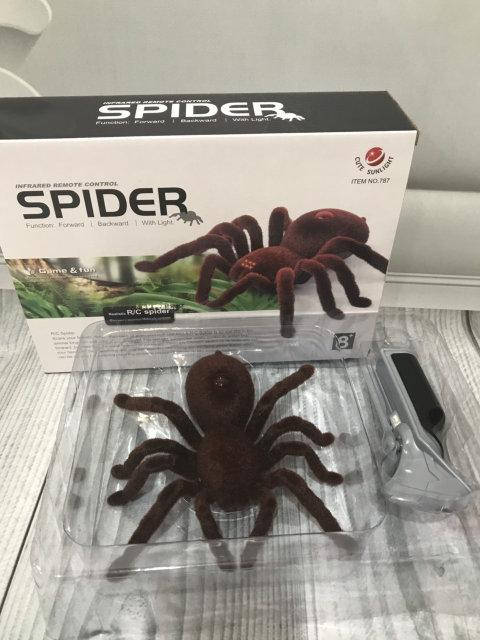 

ПАУК НА РАДИОУПРАВЛЕНИИ 787