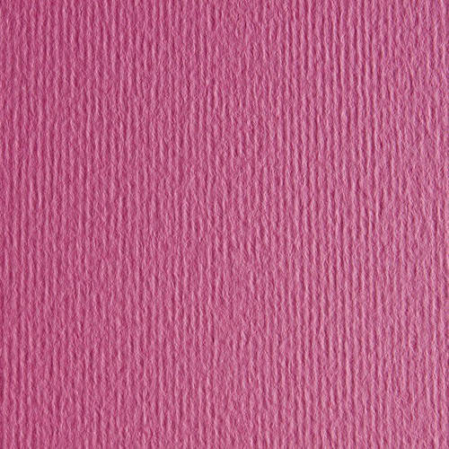 

Картон цветной для пастели Elle Erre 23 fucsia 50х70 см 220 г/м.кв. Fabriano Италия