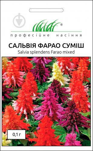 

Професійне насіння. Сальвия Фарао смесь, (Фасовка 0.1 г.)